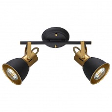 Спот arte lamp jovi a1677pl-2go